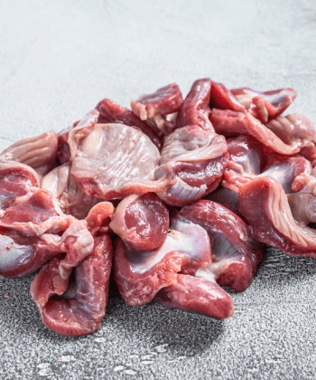 Chicken Gizzard